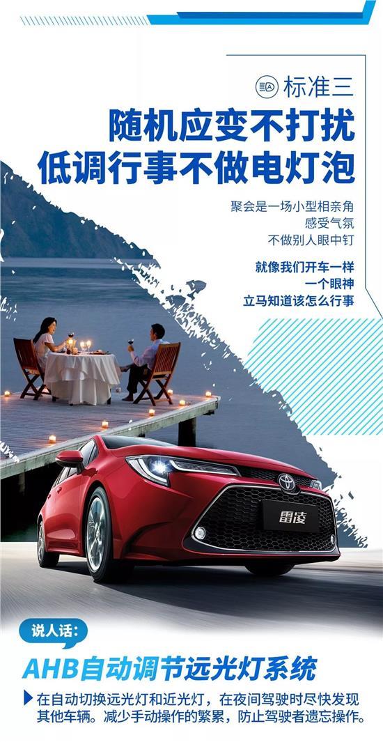 新丰最新新闻，活力四溢的城市脉动报道