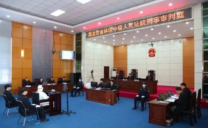 法治新闻速递，社会建设步伐与未来展望