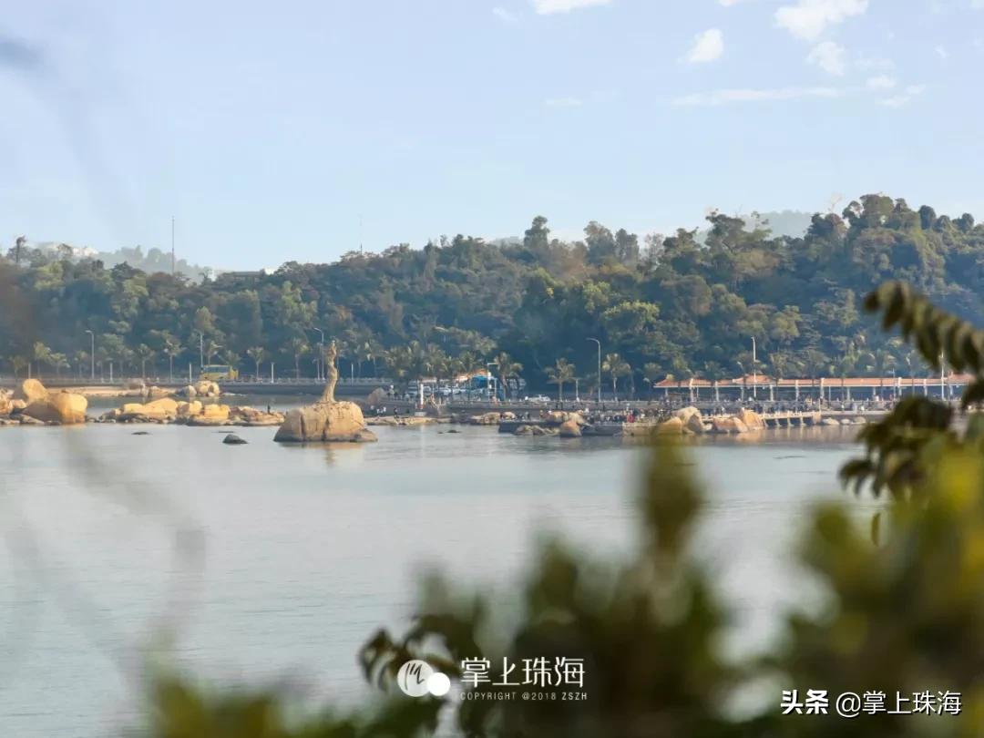 第1174页