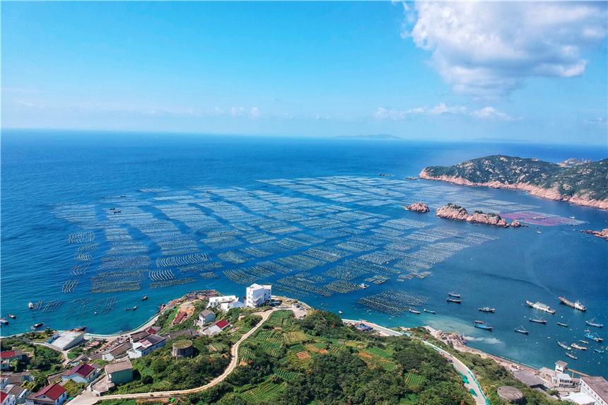 浙江东方股票最新动态，深度解析与走势预测