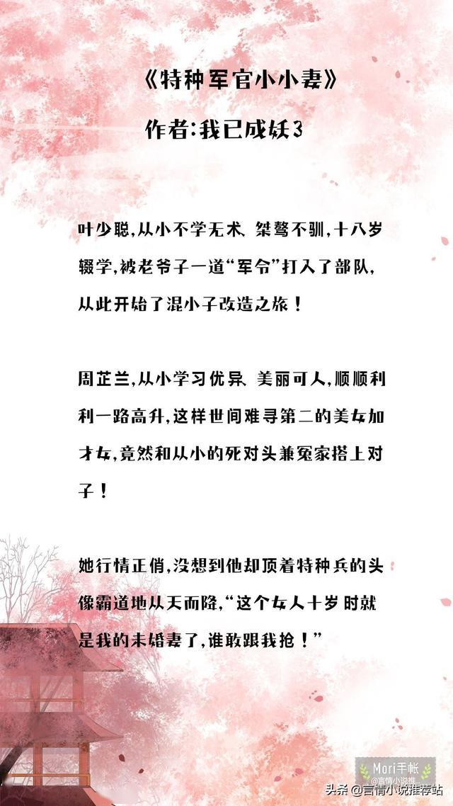 最新辣文揭秘，现代情感的炽热火焰探索