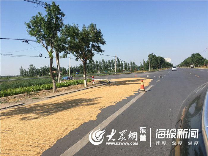 利津吧最新招聘消息，探寻职业新机遇，共筑未来梦想团队