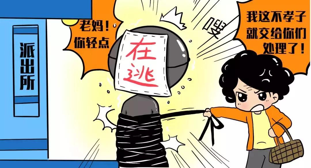 枣庄最新动态，城市焕发新活力
