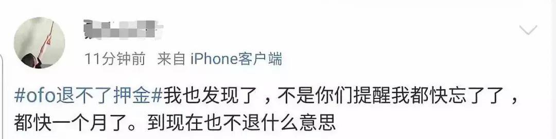 Ofo最新动态揭秘，共享单车未来之路的探索