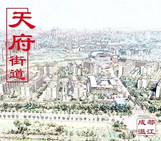 外地来川新风貌，活力交融，机遇无限