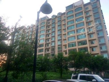 黄金国际最新行情解析，市场走势洞察与投资者策略思考