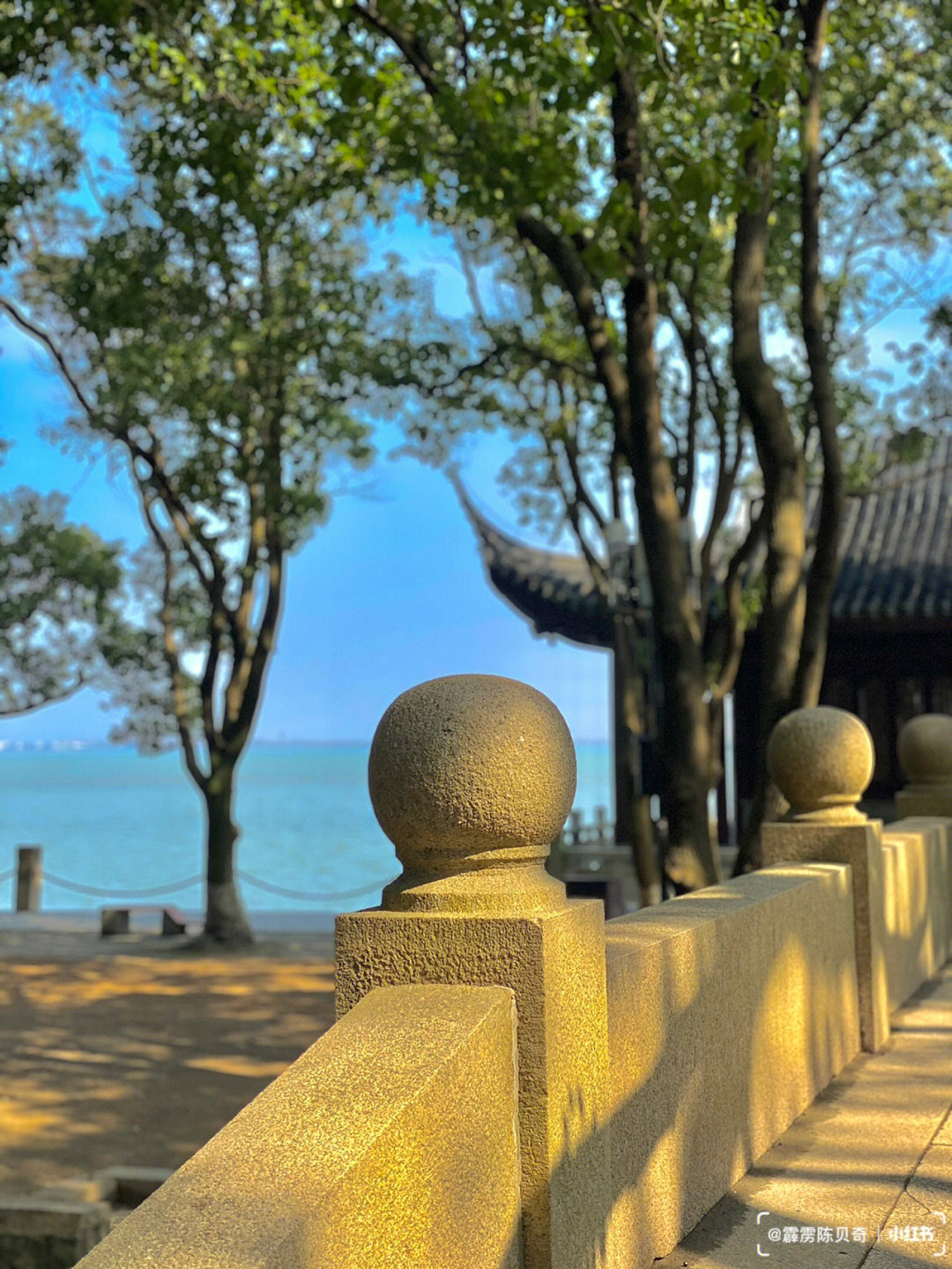 苏州最新小众景点探秘，古城之外的惊喜之旅