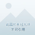 探索最新版吊篮的魅力与优势功能