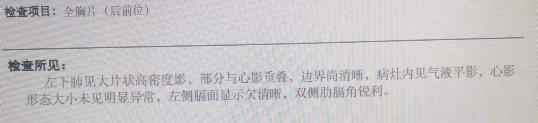 新肺报告揭示，肺部健康的新篇章与发现