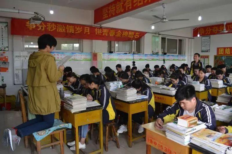 宁晋吧最新动态，活力四溢的社区新脉动