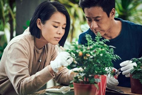 胡杏儿演技之旅，触动心灵的影视之旅