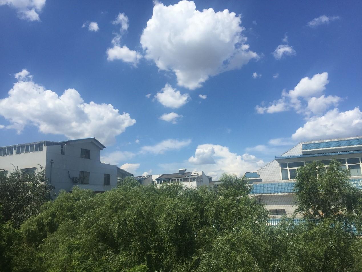 最新青客，城市新族群的生活方式探索