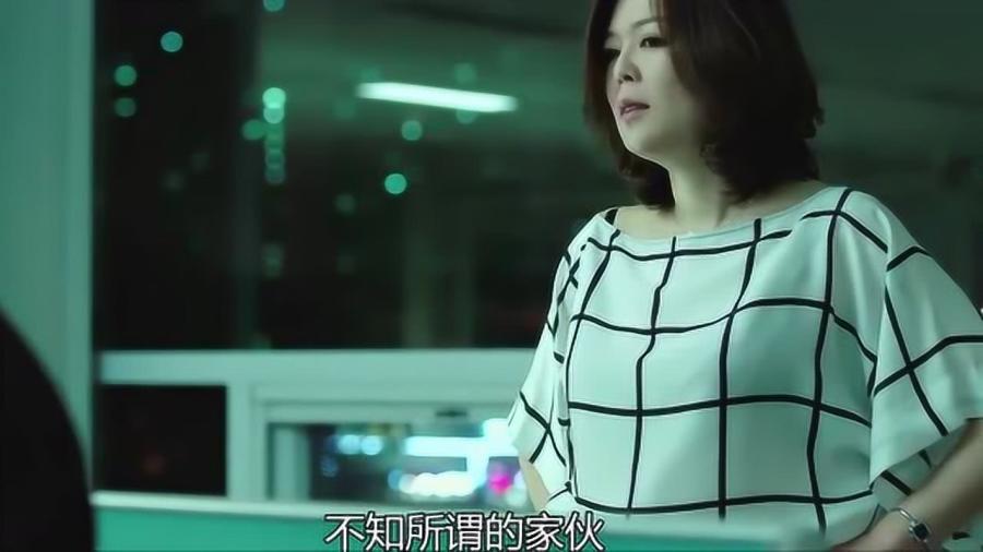 女上司韩国电影，职场魅力与情感的共鸣之旅
