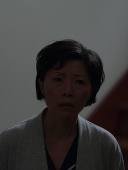 演员张莉莉，光影世界的闪耀明星