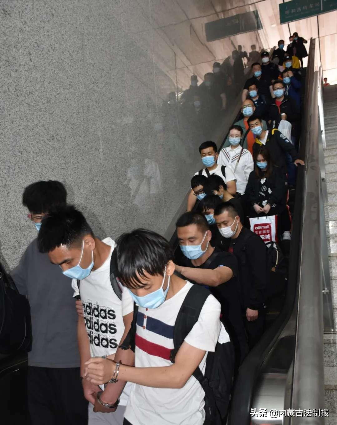 每日股票推荐，探寻金融市场奥秘的旅程