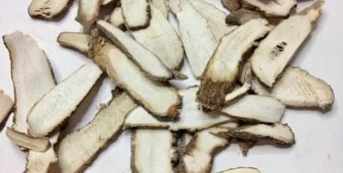 探寻川白芷行情背后的植物故事与魅力