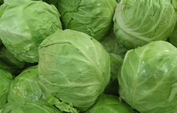 湖北包菜价格最新行情揭秘，探寻市场波动背后的故事