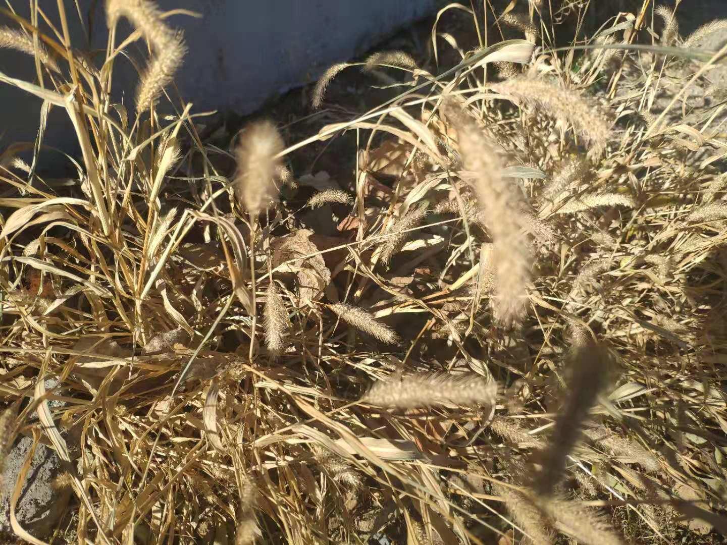 揭秘心怡是哪部电视剧的女主角？角色魅力引人瞩目！