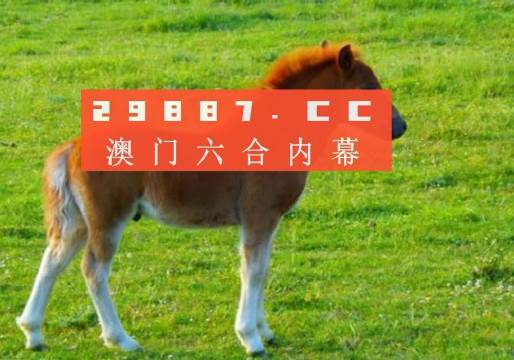 澳门一肖一码一待一中,新式数据解释设想_寻找版57.162