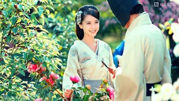 兰花香电视剧剧情介绍与深度解析