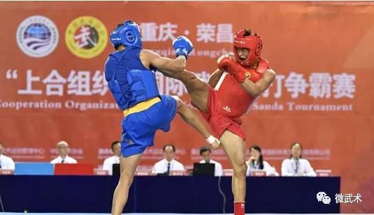 上海散打比赛的热血瞬间回顾