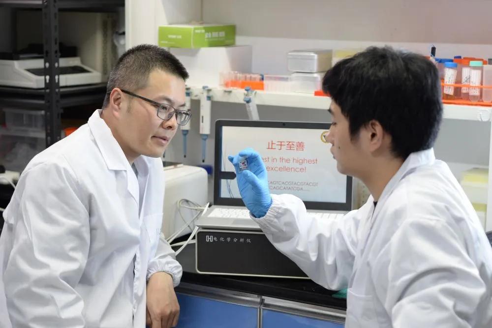 DNA检测仪器价格行情深度解析与选购指南