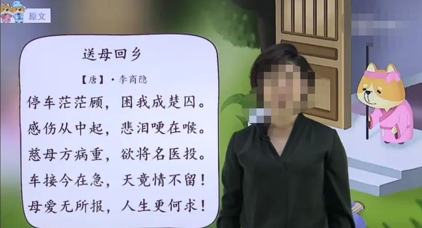 鹧鸪中最新视频发布，自然与人文的交融之美展现眼前！