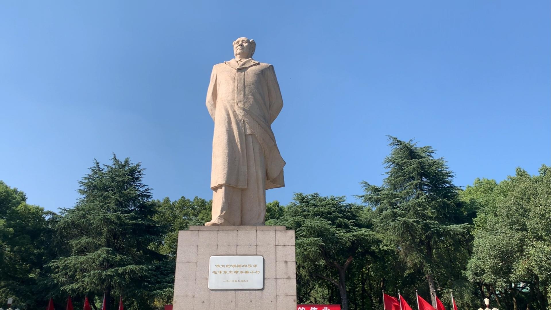 第564页