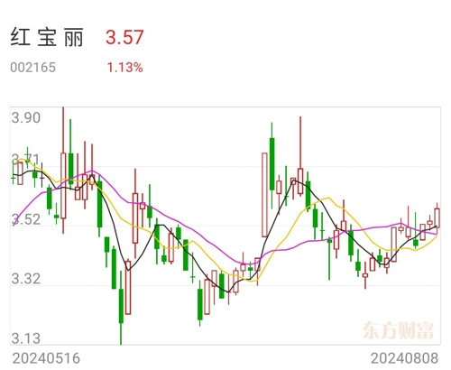 红宝丽最新消息,红宝丽最新消息，引领行业变革，共创美好未来