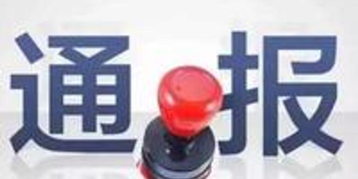 南粤清风网最新动态，传递正能量，共建美好未来