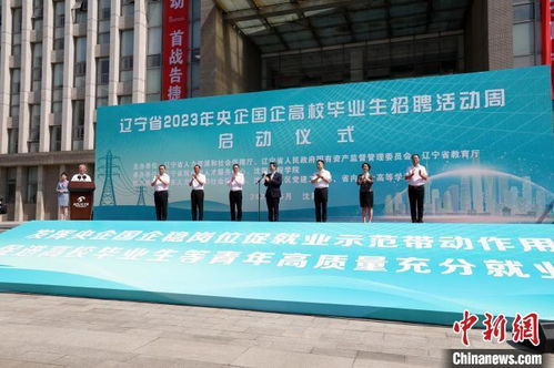 大连金州最新招聘信息汇总，探寻职业发展的黄金之地