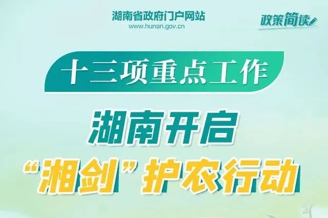 透明LED显示屏 第102页