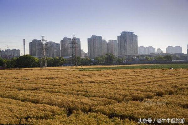 探寻城市脉搏，万州房产最新房价解析