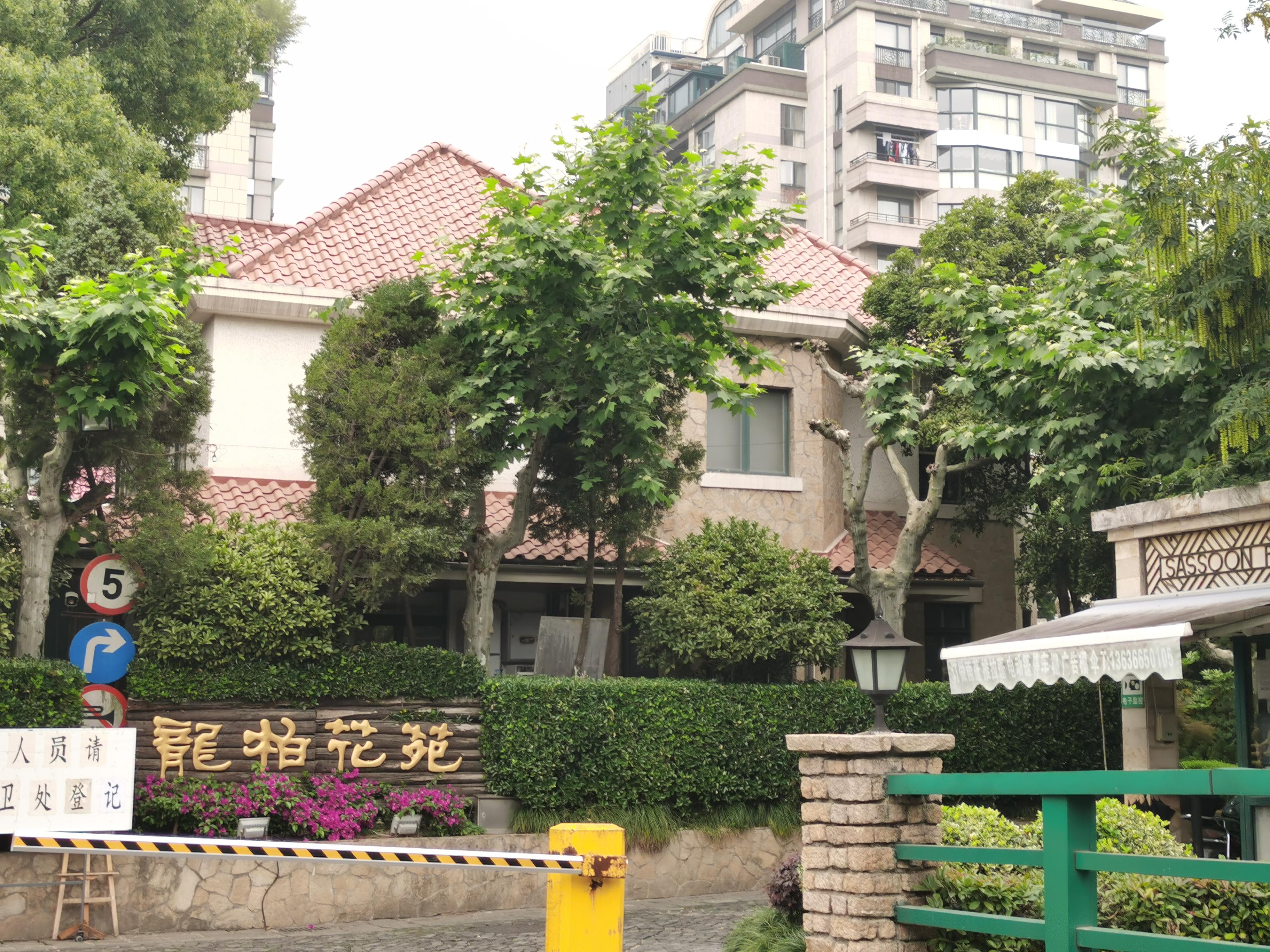 小龙柏苗最新价格，绿色经济的繁荣脉搏缩影