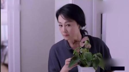 青春活力代言人小黄飞最新动态