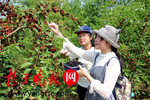 第157页