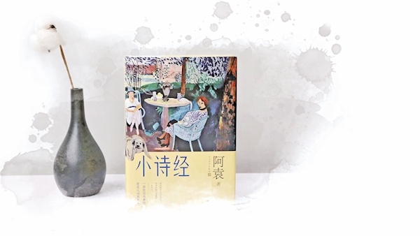 阿袁最新小说，穿越奇幻之旅揭秘