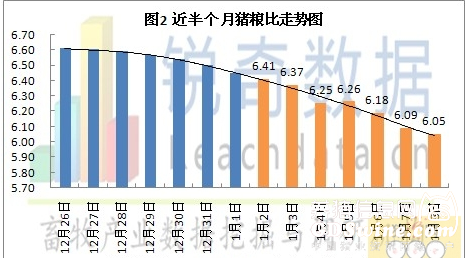 全国生猪价格最新动态及市场走势与影响因素分析